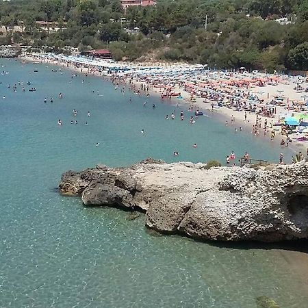Delfino Otel Marina di Camerota Dış mekan fotoğraf