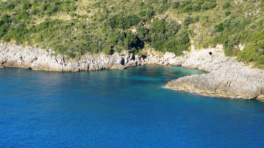 Delfino Otel Marina di Camerota Dış mekan fotoğraf