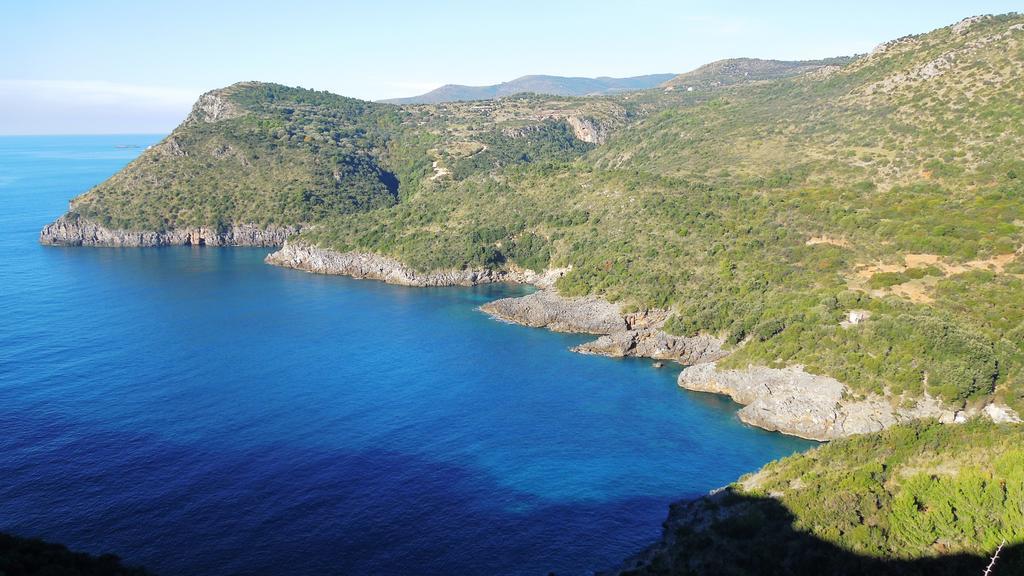Delfino Otel Marina di Camerota Dış mekan fotoğraf
