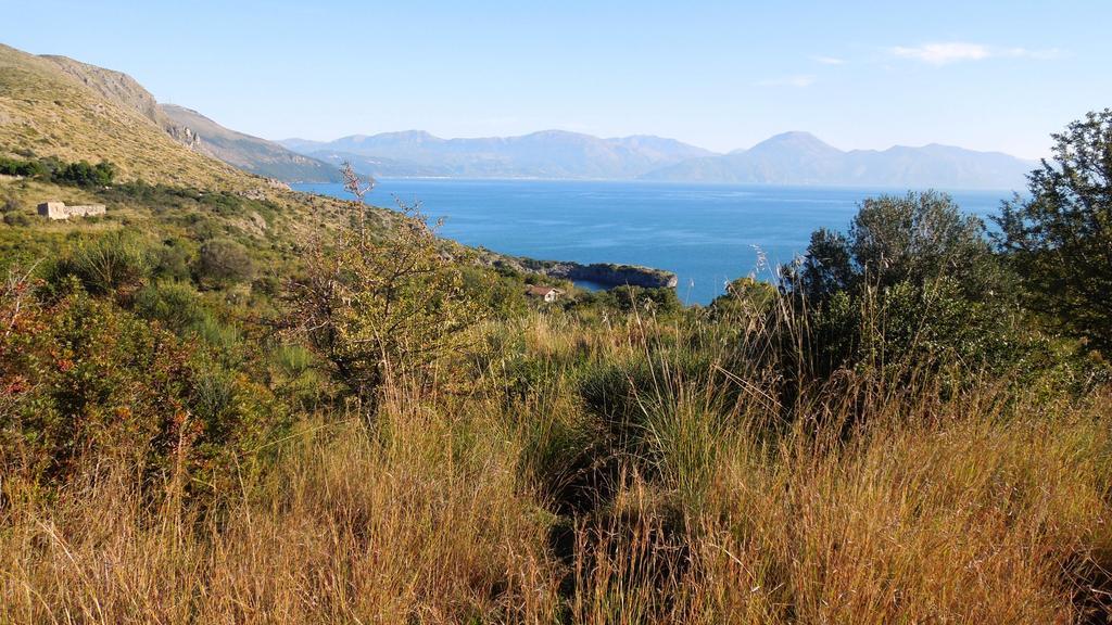 Delfino Otel Marina di Camerota Dış mekan fotoğraf