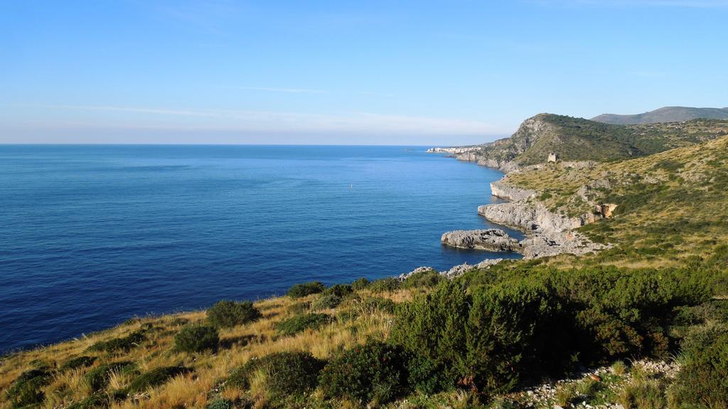 Delfino Otel Marina di Camerota Dış mekan fotoğraf